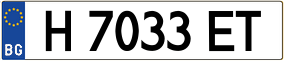 Trailer License Plate